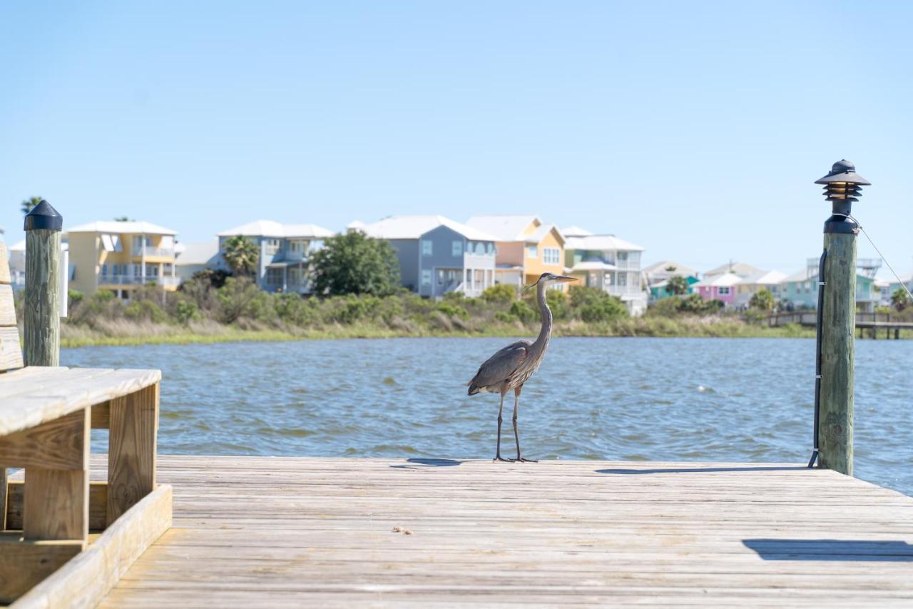 Apartament Compass Point 310 Gulf Shores Zewnętrze zdjęcie